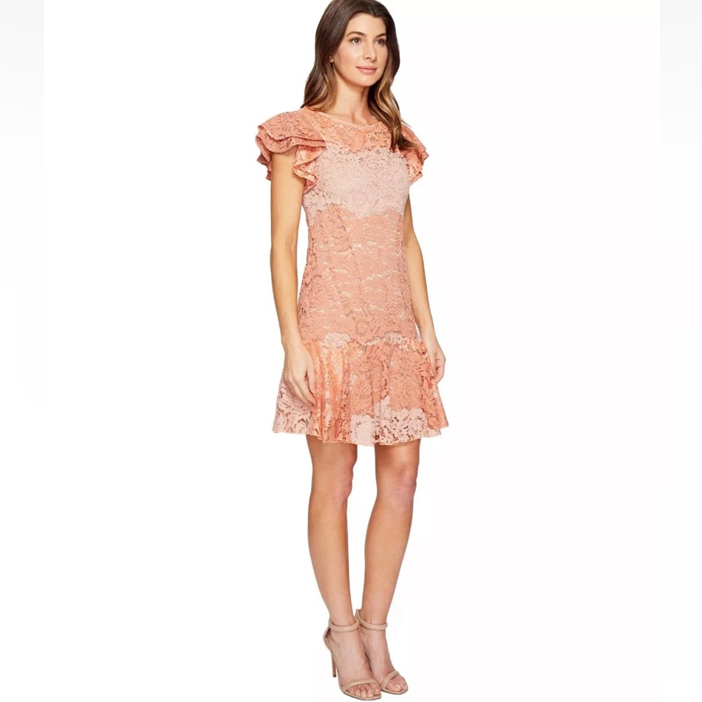 Anthropologie Eva Franco Coral Clay Lace Lotus Lace Mini Dress